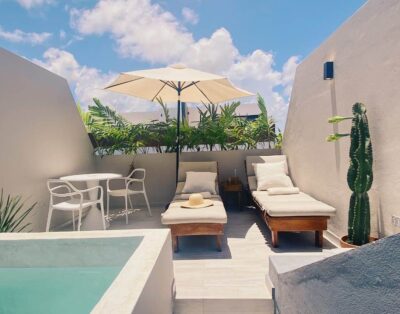 2 bdr, 2.5 bth penthouse, private roof top with plunge pool